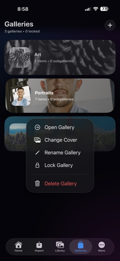 Glint galleries screen